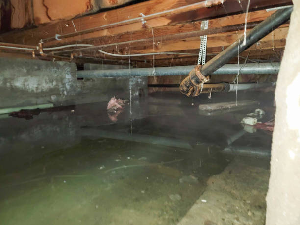 Best Commercial water damage restoration  in Gambrills, MD