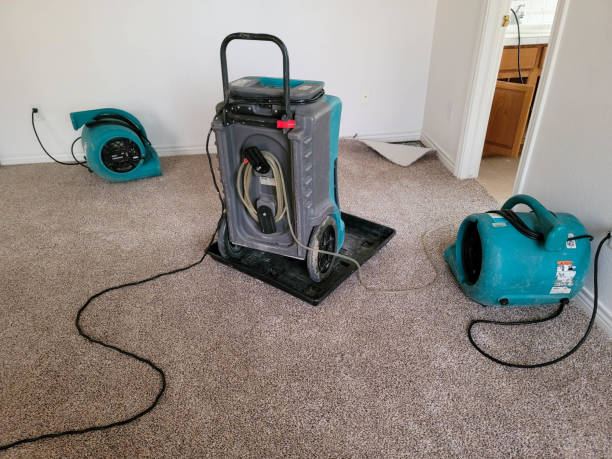 Best Carpet water damage restoration  in Gambrills, MD