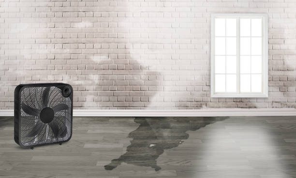Best Water damage mitigation services  in Gambrills, MD