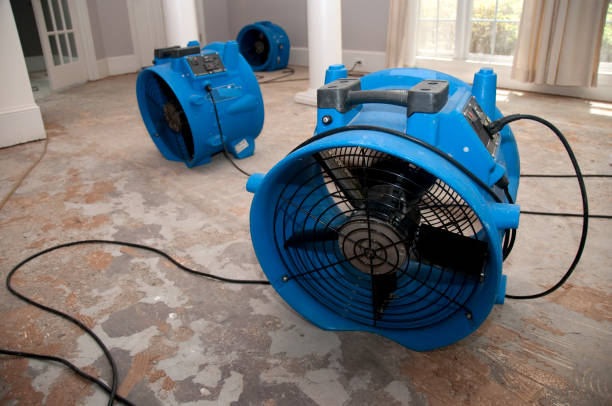 Best Professional water damage repair  in Gambrills, MD