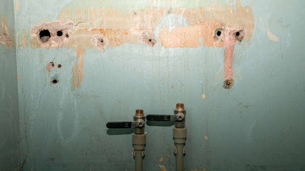 Best Basement water damage restoration  in Gambrills, MD