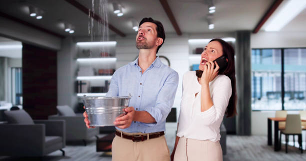 Best Sewage cleanup and water damage restoration  in Gambrills, MD